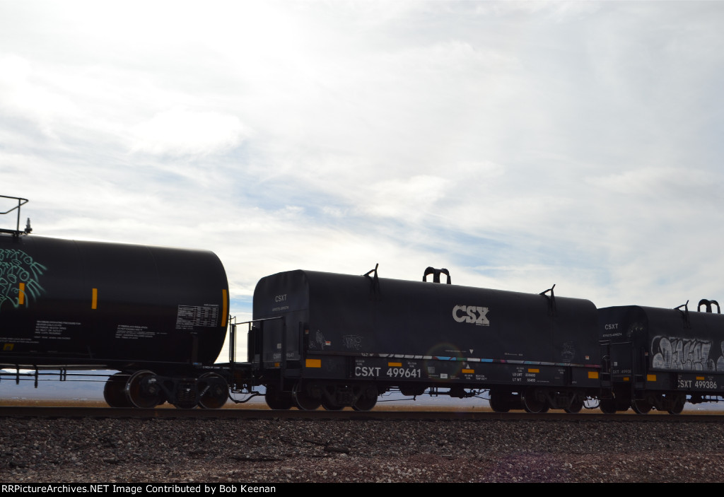 CSXT 499641